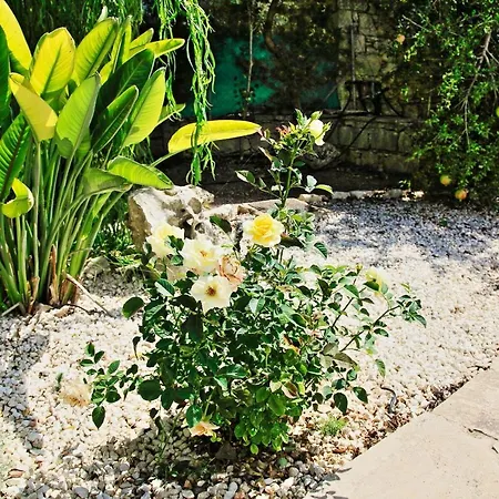 Villa Simeon Estate Dhrousha