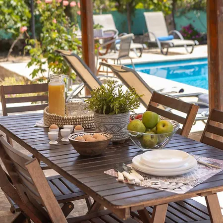Vila Simeon Estate Dhrousha